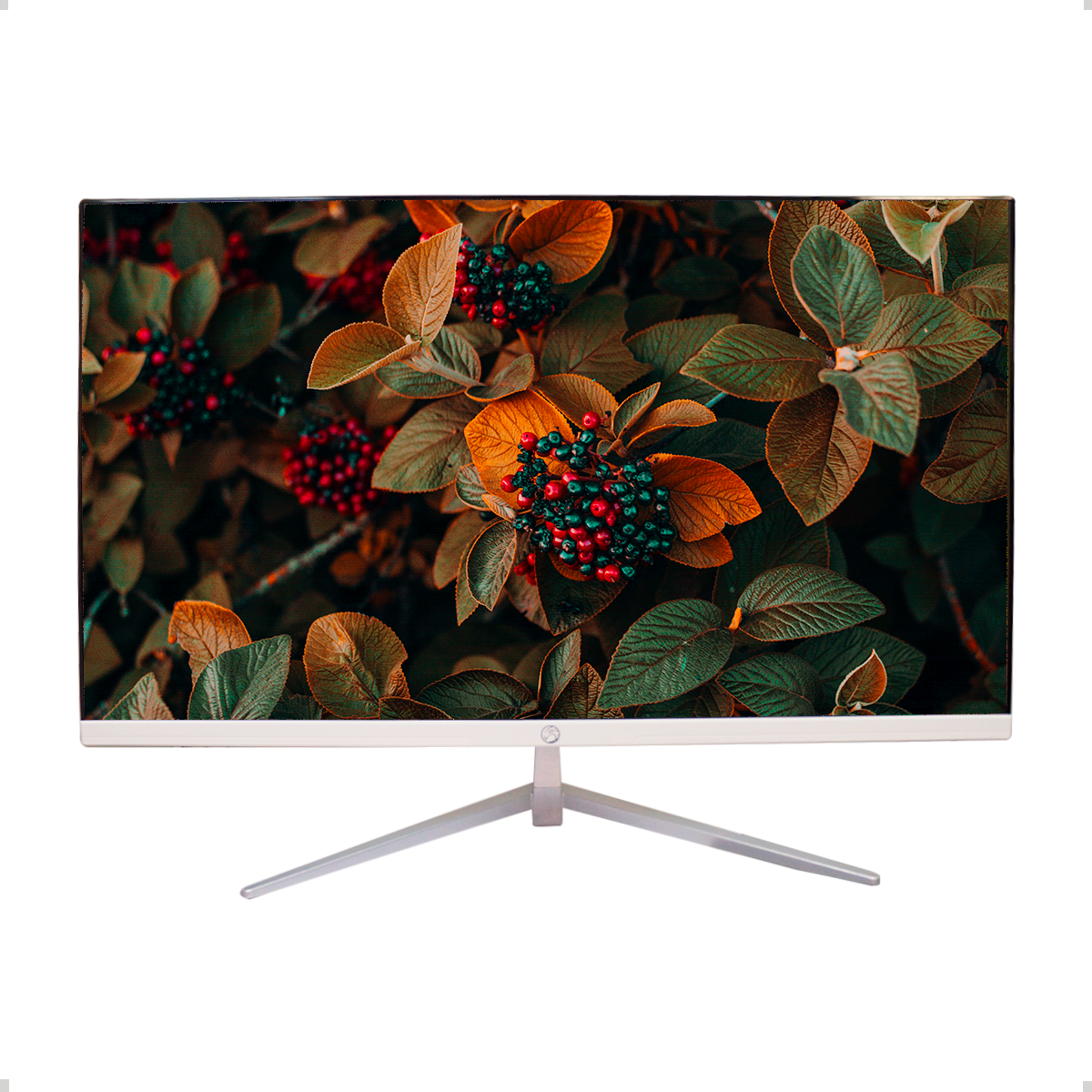 MONITOR LED 27 BRAZILPC 27WR-75XE FHD 75Hz WIDESCREEN